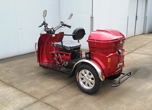 Hot Sale <strong>50cc</strong> Handicapped <strong>Gas</strong> <strong>Tricycle</strong> for the Passenger - Product Image 4