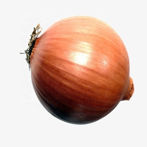 Top Quality Chinese <strong>Onion</strong> for Sale - Product Image 2
