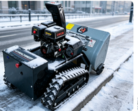 Souffleuse à neige économique à démarrage électrique, largeur de déneigement 100 cm, variation de vitesse progressive, alimentée à l'essence, 360 kg, noire, pour routes municipales