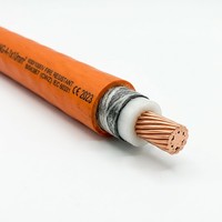 Cable Eléctrico Flexible de Cobre con Aislamiento Mineral, Resistente al Fuego, NG-A, 2 Núcleos, 0.6/1kV, para Proyectos de Construcción y Seguridad contra Incendios
