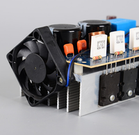 Un ensemble de cartes d'amplificateur de puissance mono 600W avec filtre A+B, double alimentation 24-35V