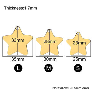 ป้ายชื่อสัตว์เลี้ยงแบบกำหนดเอง ป้ายชื่อสแตนเลสสตีลแบบเลเซอร์ ป้ายชื่อสัตว์เลี้ยงรูปดาวสำหรับสุนัขและแมว - Product Image 6