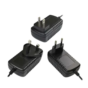 Adaptor Daya AC DC Tipe Dinding, Adaptor Daya 12V 2A 24W untuk Penerima Zigbee