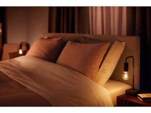 Ampoule <span class=keywords><strong>LED</strong></span> intelligente <span class=keywords><strong>PHILIPS</strong></span> A60 Edison style industriel rétro, E27, température de couleur variable, verre, HomeKit GardenHUE - Product Image 3