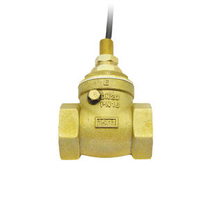 Válvula de Retención con Interruptor de Flujo de Agua SEN-DB25 de Un Pulgada de Diámetro, Deflector de 220v, Detección de Alto Flujo para Medios Acuáticos - Product Image 1