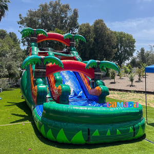 Toboggans gonflables de haute qualité à vendre, toboggan aquatique gonflable <span class=keywords><strong>pour</strong></span> <span class=keywords><strong>piscine</strong></span> - Product Image 4