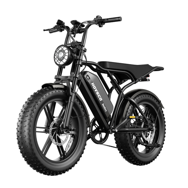 48V 20" Vintage Off-road E-bike Bigger Motor for Faster Speed Electronic Brake Hydraulic Disc Brake Fatbike