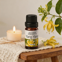 Ensemble de 10 ml d'huiles essentielles aromatiques, mélange de plusieurs huiles parfumées pour diffuseur, parfum d'ambiance, vente en gros, étiquette privée