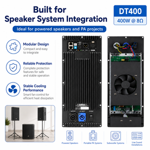 Modulo Amplificatore a Piastra Classe D SONO DT400 con Rapporto S/N Elevato per Audio Professionale - Product Image 1