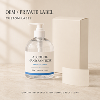 Désinfectant pour les mains sans parfum ni alcool en flacon pompe, OEM, marque privée, étiquette personnalisée, vente en gros, gamme d'hygiène des mains commerciale