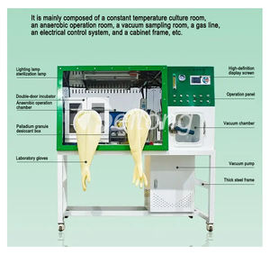 Incubateur anaérobie avec fonction d'alarme de surchauffe - Équipement de laboratoire - Chambre de culture anoxique - Product Image 2