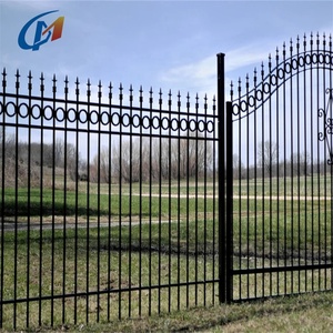 Clôture en acier décoratif galvanisé, clôture en fer forgé et modèles de portails <span class=keywords><strong>pour</strong></span> la maison - Product Image 1