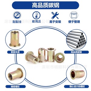 Rivets à tête plate Yang Shun M3 M4 M5 M6 M8 en acier au carbone zingué, lot de 100 pièces en boîte - Product Image 5