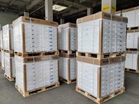 32 40 42 43 49 50 55 58 60 65 70 75 85-Zoll TFT 4K LED-Hintergrundbeleuchtung 350cd/m LCD-TV-Panels für Samsung Hisense JVC TV-Ersatz