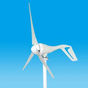 Turbin Angin Kecil 1KW/Generator Tenaga Angin untuk Penggunaan Di Rumah (1000W)