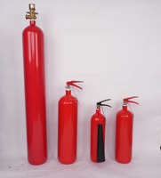 Se vend bien dans les usines chinoises et convient à une utilisation dans les magasins et les foyers Extincteurs à CO2 portables de 2 kg
