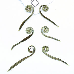 Bouquets <span class=keywords><strong>de</strong></span> feuilles <span class=keywords><strong>de</strong></span> <span class=keywords><strong>palmier</strong></span> sagou séchées écologiques pour souvenirs <span class=keywords><strong>de</strong></span> mariage, décoration <span class=keywords><strong>de</strong></span> gâteaux, arrangements floraux - Product Image 4