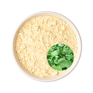 Extracto de Kava Natural orgánico en polvo 10:1 20:1 30:1 50:1 Extracto de Kava Soluble en agua - Product Image 3