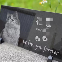 Monument commémoratif personnalisé moderne en granit naturel noir pour chat et chien, sculpture en pierre polie sculptée à la main pour cimetière, style européen du XXe siècle