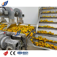 Industriële mangosapverwerkingsmachine, fruit-sap drankenproductielijn met pasteurisator, vul- en verpakkingsapparatuur