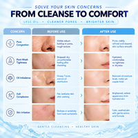 Sistem Surfaktan Asam Amino Tiga Kali Lipat Label Pribadi Glyceryl Glucoside Pembersih Wajah Penyeimbang Kelembapan