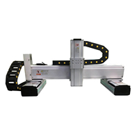 Bras robotisé à portique WEEMT XY, bras robotisé industriel automatique à 2 axes, vitesse maximale 250/500/1000/2000 (mm/s), précision 0,01 mm, 120 kg