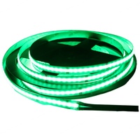 Bande lumineuse LED COB TAYIRE AP-RGBIC Dream Color RGBIC ultra-étroite 5mm 10mm 2.7mm Epistar WS2812B WS2811 USB/Wi-Fi/Télécommande IP20