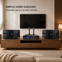 Système audio pour la maison NEARSTAR, ensemble de karaoké OK450 avec enceintes DSP300, amplificateur tout-en-un, système sonore pour salon