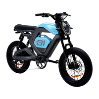 Vélo électrique Alkaid de haute qualité, moto tout-terrain, vélo électrique de randonnée en montagne longue portée, vélo électrique de ville