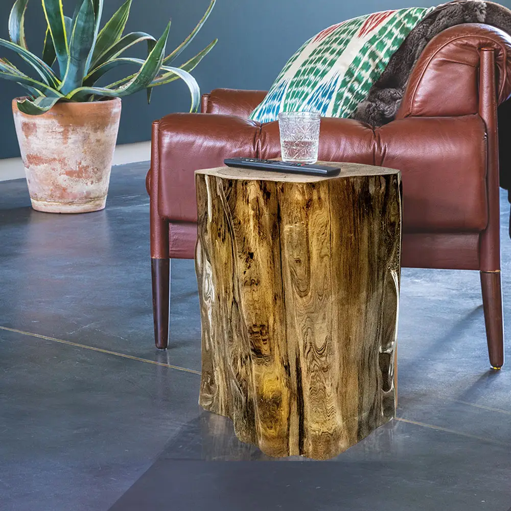 Caisse d'arbre naturel avec couvercle cylindrique en résine transparente, tabouret rond en bois pastoral, Table latérale acrylique, cristal clair