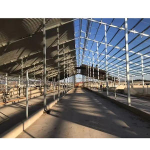 Edificio Prefabbricato in Acciaio di Alta Qualità, Moderno e Leggero, Multifunzionale per Allevamento Suini - Product Image 3