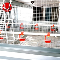 Cage de couvaison industrielle de type H en métal, équipement complet d'élevage avicole pour projet commercial d'élevage de poulets pondeurs