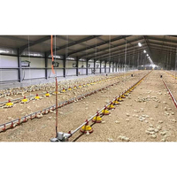 Bâtiment de poulailler à cadre en acier Ferme de poulets préfabriquée Conception libre
