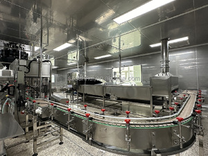 Polpette di manzo 90% certificate, ingrediente fresco, per attività di ristorazione - Product Image 5