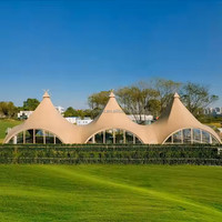 Dôme Céleste en PVC Monocouche Quatre Saisons pour Camping, Team Building, Camp, Bar, Restaurant, Tente Landmark avec Structure en Acier