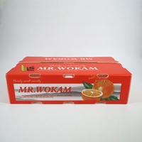 Boîte Wogan en polypropylène recyclable GreenTree, écologique, de qualité alimentaire, alternative super résistante aux boîtes en carton ondulé pour les courses