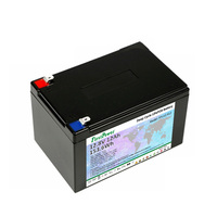 Batterie rechargeable FPLi12.812 FirstPower 12,8 V 12 Ah LFP 153,6 Wh pour l'alimentation de secours des équipements de surveillance