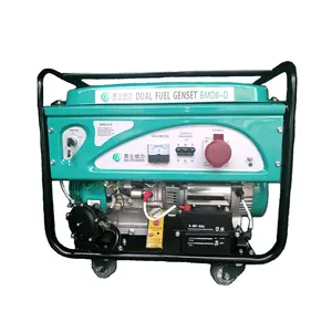 6 KW Single Phase Dual Fuel Multi-function Portable Gas Powered Generator / LPG/Natural Gas Generator set