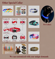 Usine personnalisée 100% Nylon luxe Style collier de chien de compagnie avec boucle en métal colliers tactiques pour chiens chats entraînement en plein air marche