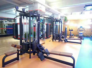 ASM-T1066 Appareil de fitness multifonctionnel pour club de sport commercial, équipement de musculation, 8 stations multiples à vendre ASM - Product Image 4