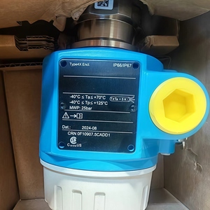Sensor de Nivel Vibratorio Original Endress+Hauser E+H Soliphant FTM20, Materiales ABS/Metal/Zinc, 1 Año de Garantía - Product Image 2