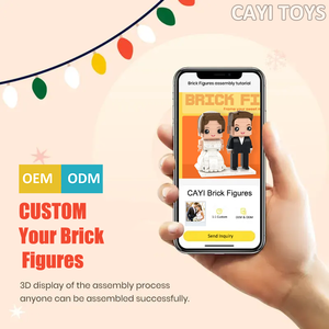 Cayi Cá Nhân Hoá Tùy Chỉnh Gạch Hình Mini Người Thiết Kế Mới Nhân Vật Coming-Của-Tuổi Lễ Quà Tặng Số Lượng Lớn Con Số Gạch Với Hình Ảnh - Product Image 2