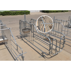 Nouvelle cage de gestation pour porcs durable avec mangeoires, surface lisse, longue durée de vie, acier galvanisé à chaud anti-corrosion - Product Image 5