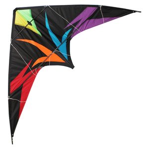 Deporte al aire libre juguete acrobático cometa - Product Image 1