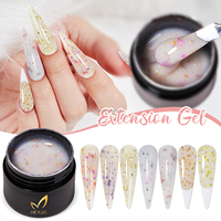 DZ NAIL Gel d'extension pour ongles à fleurs séchées, SANS HEMA, à retirer par trempage, compatible UV LED, OEM ODM, Gel de conception française, Écologique, Gel longue tenue