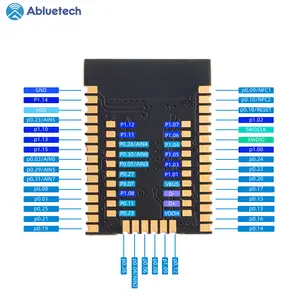 Module Manufacturers Long Range Communication Board Nrf52840 Bluetooth5.0 Mesh ANT 2.4G BLE Module