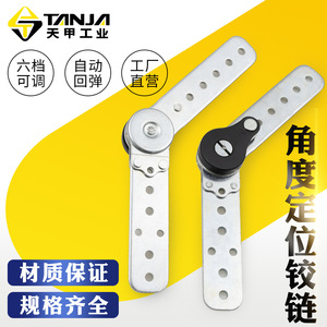 Charnière de positionnement angulaire TANJA K145 K156 K249 pour équipement industriel automatique - Product Image 1