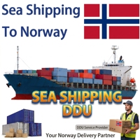 Agent logistique fiable, expédition de Chine vers la Norvège, la Suède, la Finlande, DDU, transitaire rapide