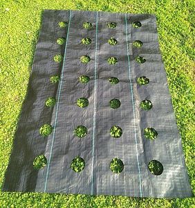 Square PP Garden Weed Barrier Landscape Fabric Durable & Heavy-Duty Weed Mat