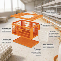 Nouvelle cage de transport en plastique pour poulets, poulailler, boîte de transport pour volailles, montage facile, vente en gros